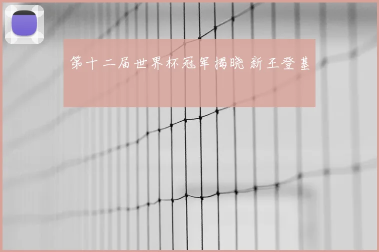 第十二届世界杯冠军揭晓 新王登基