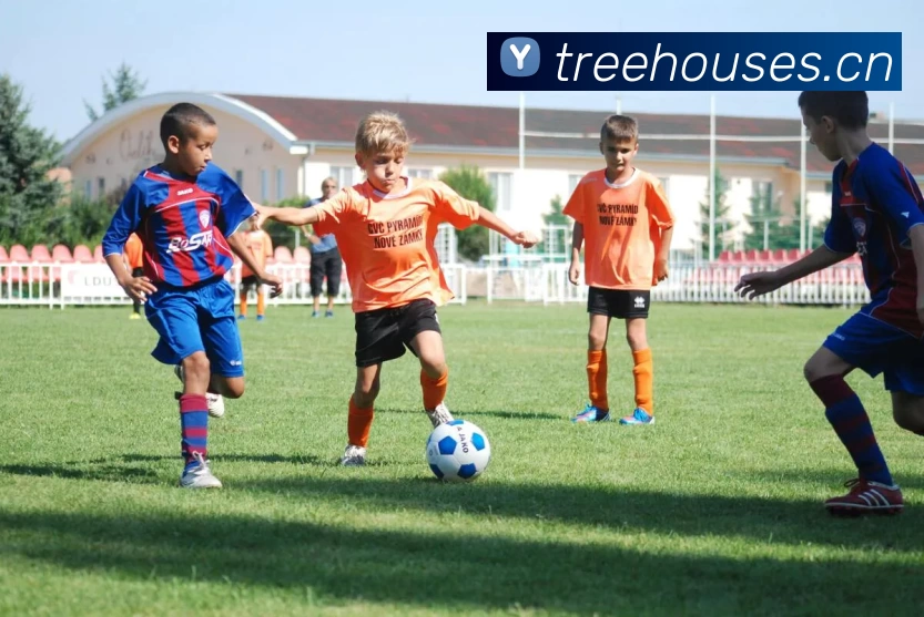 多媒体互动体验