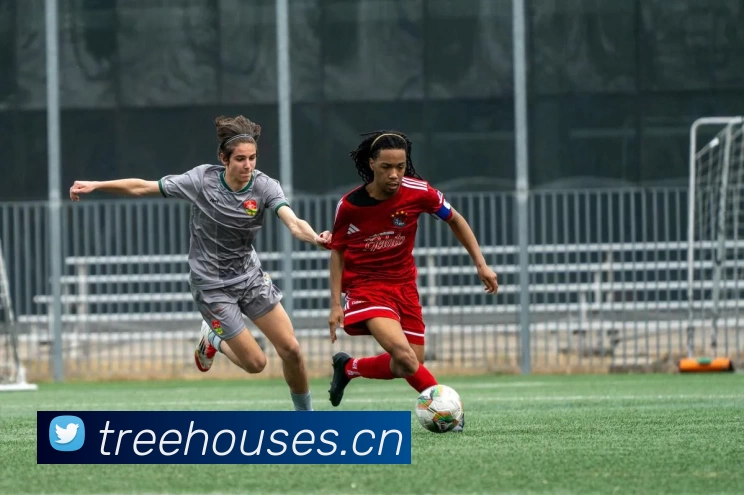 爱游戏ayxAPP 体育赛事宣传图